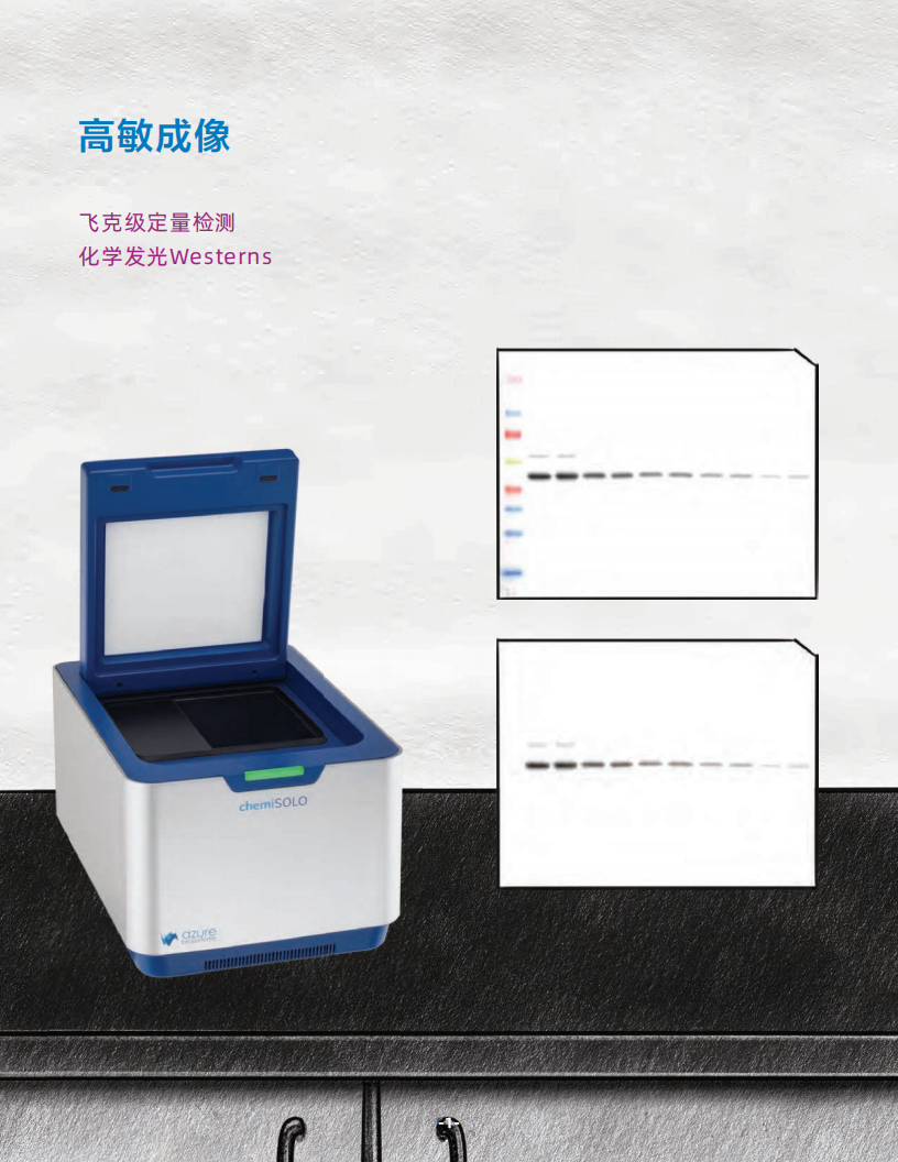 Azure chemiSOLO化学发光成像仪（2023）_02.png