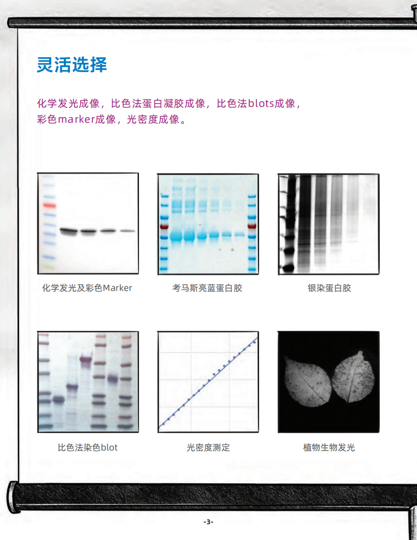 Azure chemiSOLO化学发光成像仪（2023）_04.png