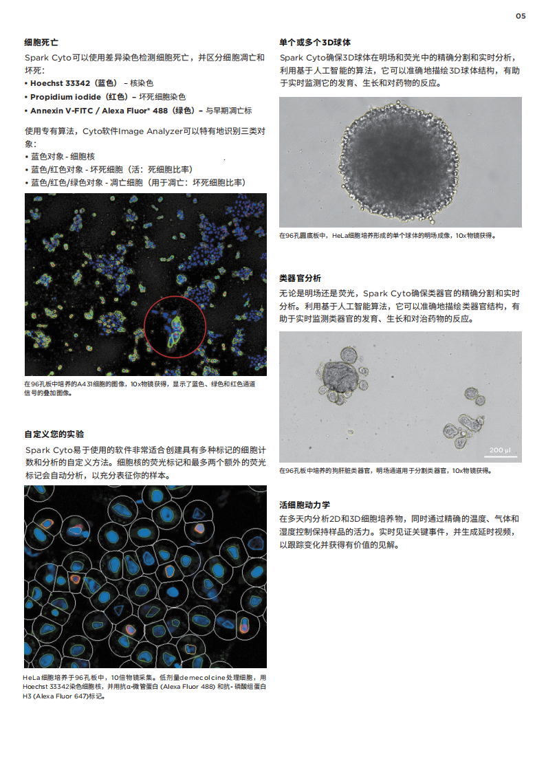 Spark Cyto活细胞成像及多功能微孔板实时检测系统_05.png